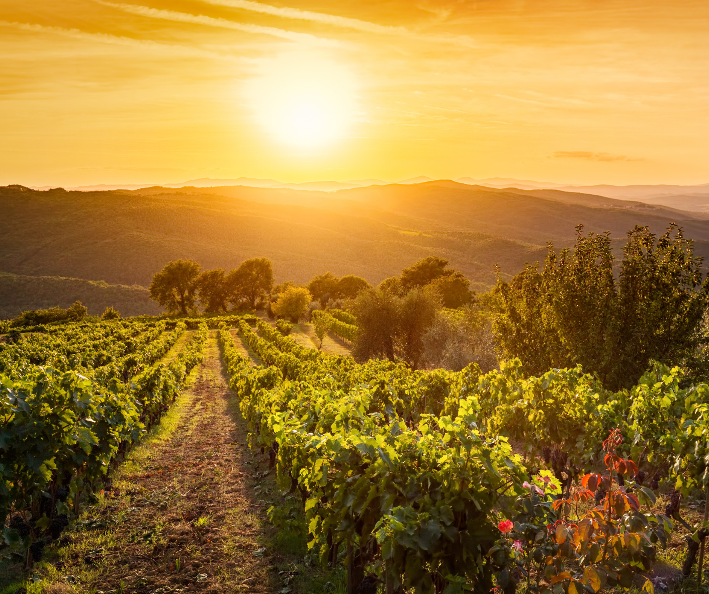 Sunset Tuscany pickleball vacation Italy#pickleballitalytrips #pickleballtrips #pickleballtravels #pickleballvacations #pickleballgateways #pickleballholidays #pickleballitaly #pickleball